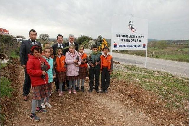 Mehmet Akif Ersoy Hatıra Ormanı Oluşturuldu