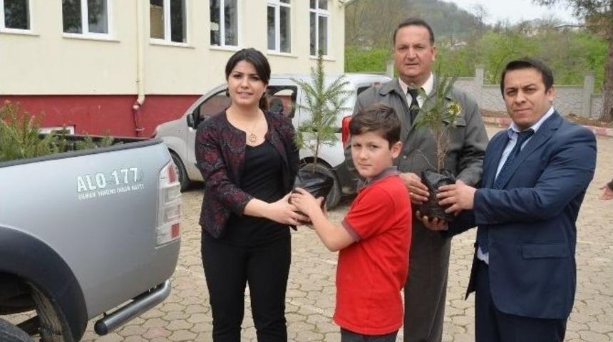 &Ouml;ğrenciler Fidan Dikti