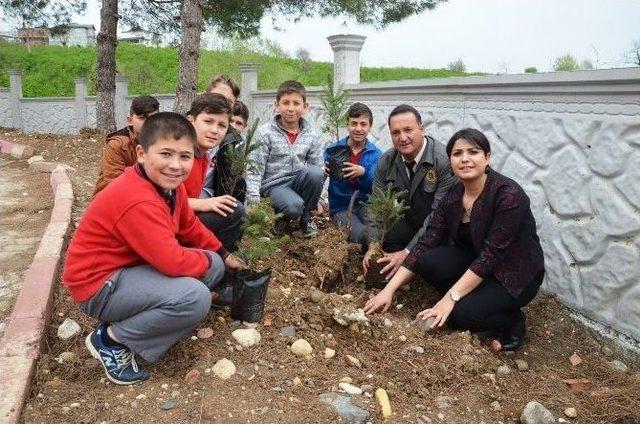 Öğrenciler Fidan Dikti