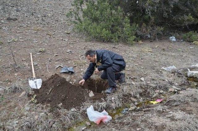 İnal Köyü’nde 3 Bin Fidan Toprakla Buluştu