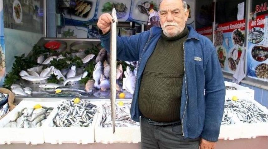 Soğuk Havalar Balık Fiyatlarını Arttırdı