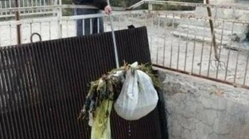 Hidroelektrik Santrali Havuzundan &Ccedil;ıkan &Ccedil;&ouml;pler Pes Dedirtti