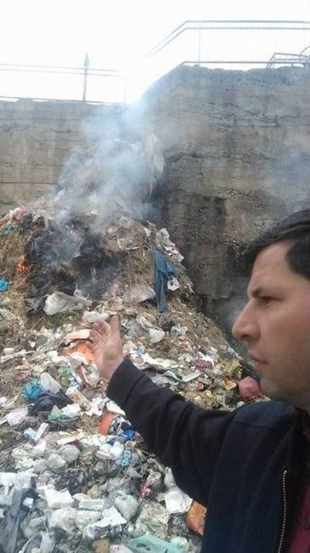 Hidroelektrik Santrali Havuzundan &Ccedil;ıkan &Ccedil;&ouml;pler Pes Dedirtti 1