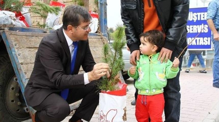 Eskişehirlilere Fidan Dağıtımı Devam Ediyor