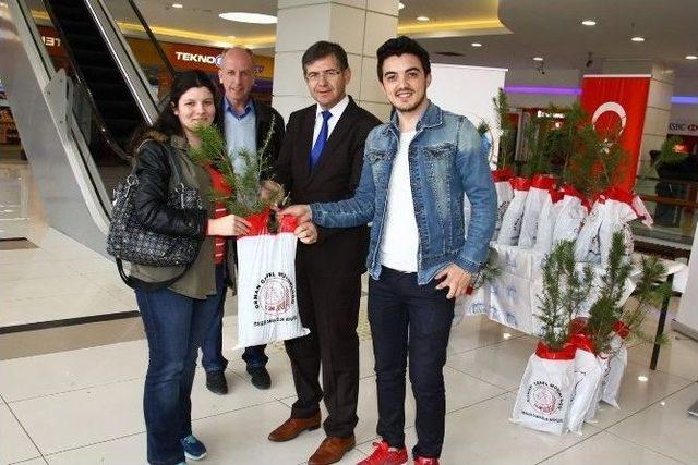 Eskişehirlilere Fidan Dağıtımı Devam Ediyor 1