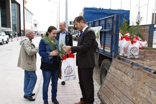 Eskişehirlilere Fidan Dağıtımı Devam Ediyor 2