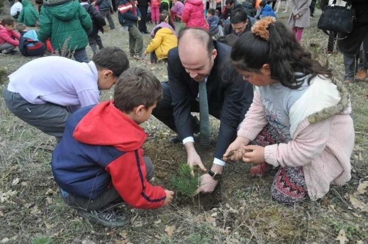Kent Ormanı&rsquo;na 900 &Ouml;ğrenciden 900 Fidan