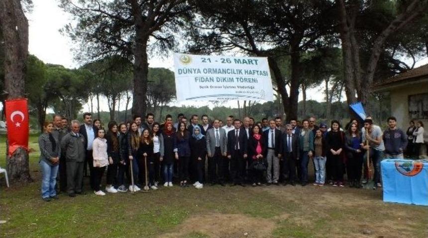 Serik&rsquo;te 400 Fidan Toprakla Buluştu