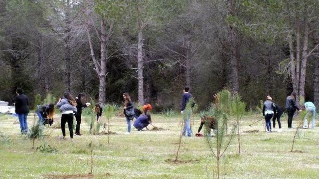 Serik&rsquo;te 400 Fidan Toprakla Buluştu 1