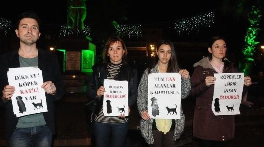 &Ccedil;aycuma&rsquo;da Şiddet G&ouml;ren Sokak Hayvanları İ&ccedil;in Oturma Eylemi