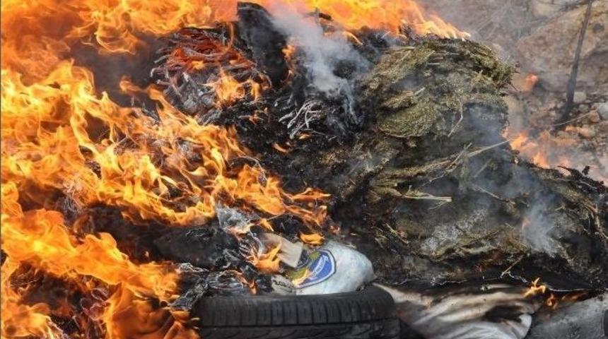 Uşak&rsquo;ta 358 Kilo Esrar İmha Edildi