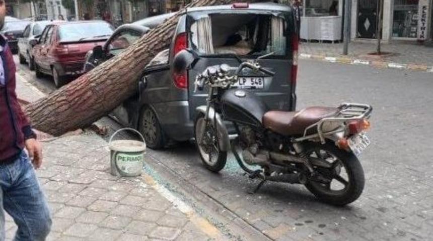 Salihli&rsquo;yi Kuvvetli Lodos Vurdu