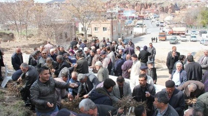 İncesu Belediyesi Bağcılığa Destek Vermeye Devam Ediyor