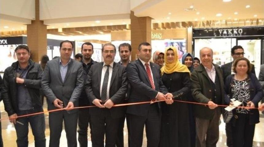 Piazza’da Doğanın Sırları Açığa Çıkıyor