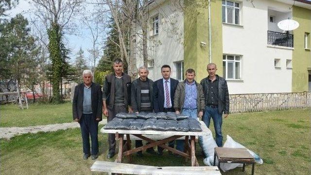 Çiftçilere Çörek Otu Tohumu