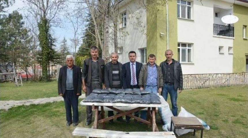 &Ccedil;ift&ccedil;ilere &Ccedil;&ouml;rek Otu Tohumu