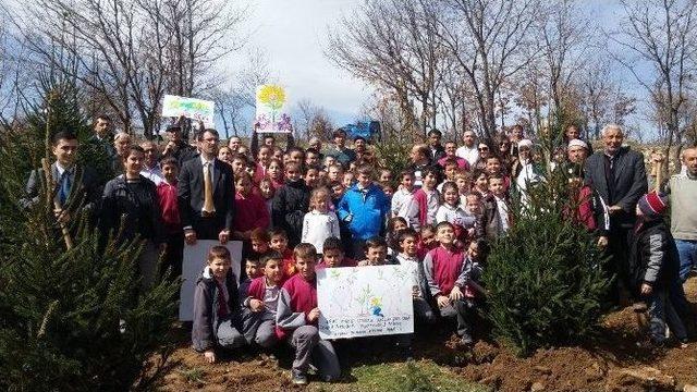 Dodurga Beldesinde 2 Bin Fidan Doğayla Buluştu 1