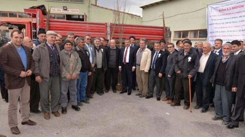 &Uuml;reticilere Ceviz Fidanı, &Ccedil;erezlik Kabak Tohumu Ve &Ccedil;&ouml;rek Otu Dağıtıldı