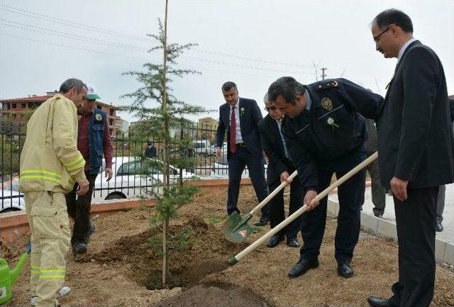 Bafra’da Orman Haftası Etkinliği