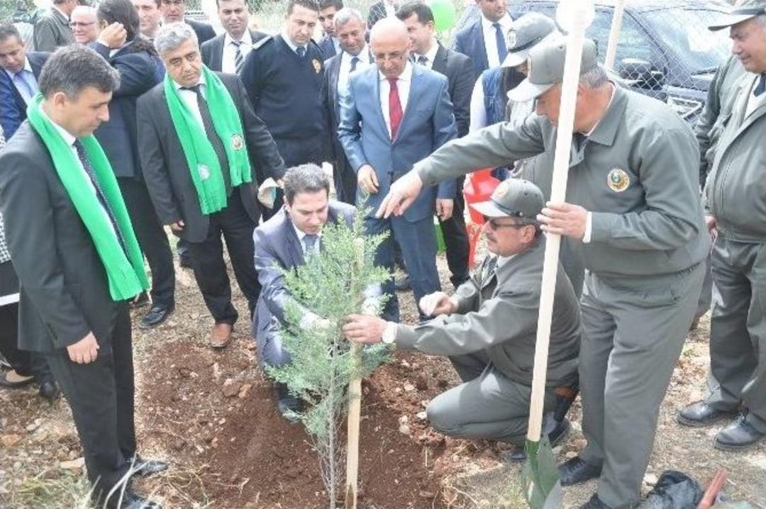 Kozan&rsquo;da 10 Bin Fidan Toprakla Buluştu