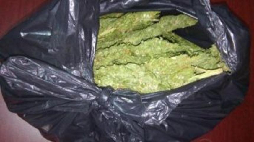 Kayseri İl Jandarma Komutanlığından Esrar Operasyonu