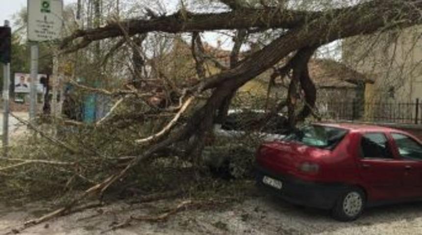 Ereğli&rsquo;de Şiddetli R&uuml;zgar