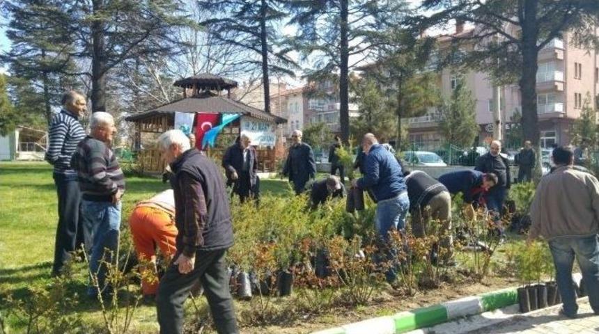 &Uuml;reticiye &Uuml;cretsiz Fidan