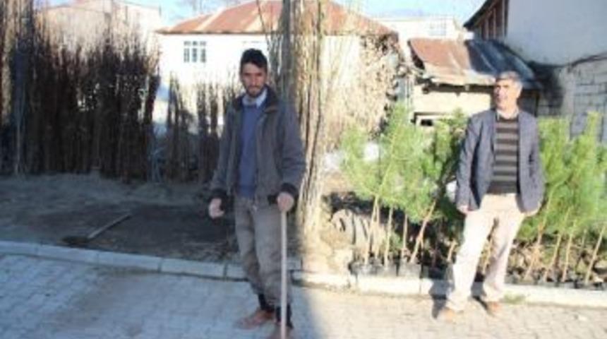 Varto&rsquo;da Fidan Satışları Başladı