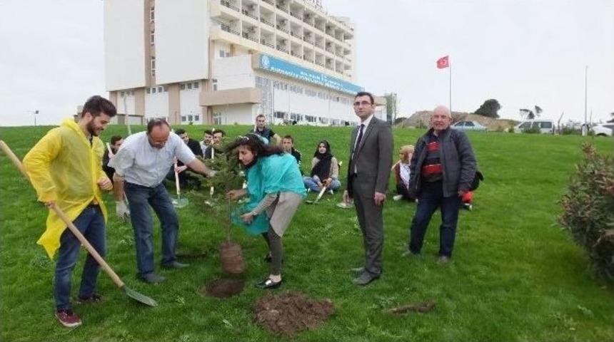 Burhaniye&rsquo;de &Uuml;niversiteliler Okul Bah&ccedil;esine Ağa&ccedil; Dikti