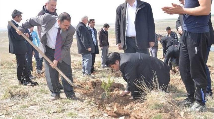 &Ccedil;eltik&rsquo;te 2 Bin Fidan Toprakla Buluştu