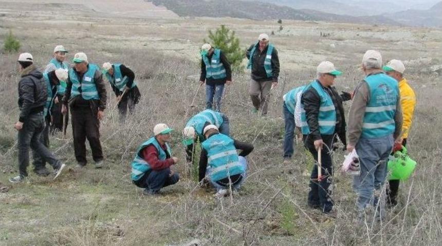 Denetimli Serbestlik M&uuml;d&uuml;rl&uuml;ğ&uuml;&rsquo;nden Hatıra Ormanı