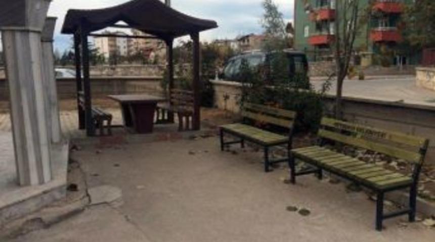 Beyşehir Belediyesi&rsquo;nden Cami Bah&ccedil;elerine Kamelya