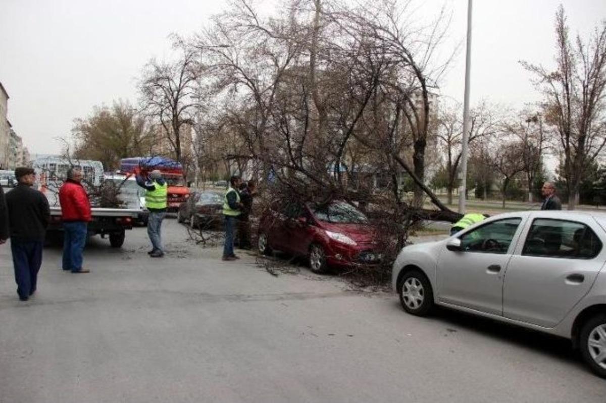 Kayseri Ve Sivas&rsquo;ta Şiddetli R&uuml;zgar Etkili Oldu