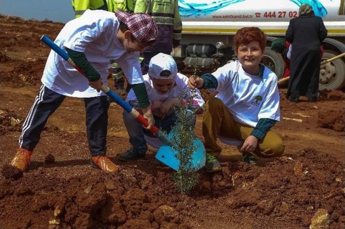 Şehitkamil Belediyesi Yeşile Doymuyor