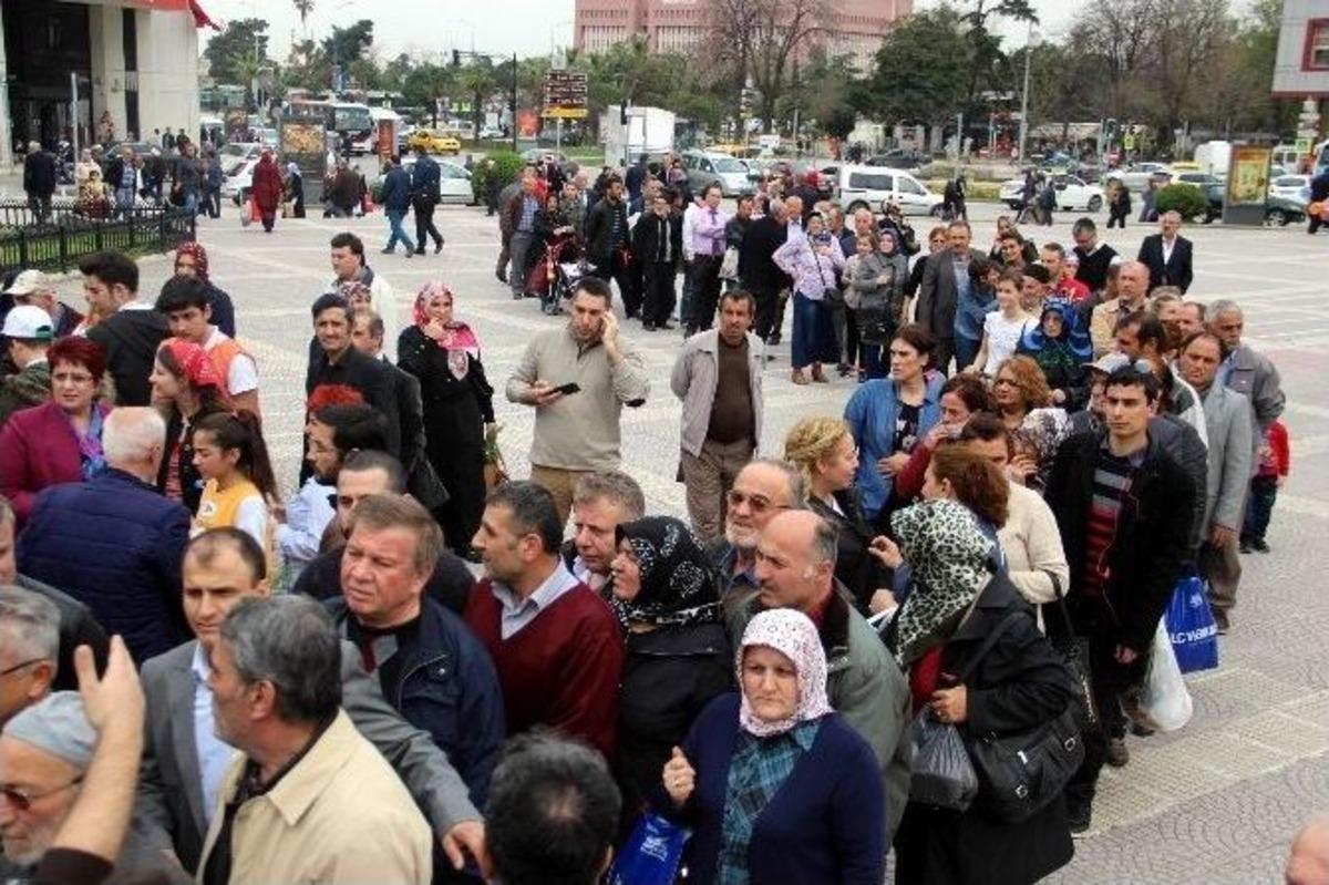 Bin &ldquo;mazı Fidanı&rdquo; Yarım Saatte T&uuml;kendi