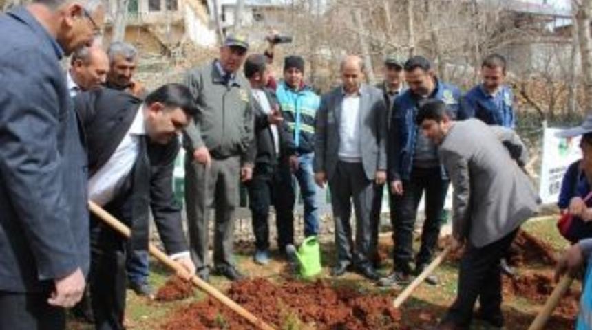 Tufanbeyli&rsquo;de 100 Fidan Toprakla Buluştu