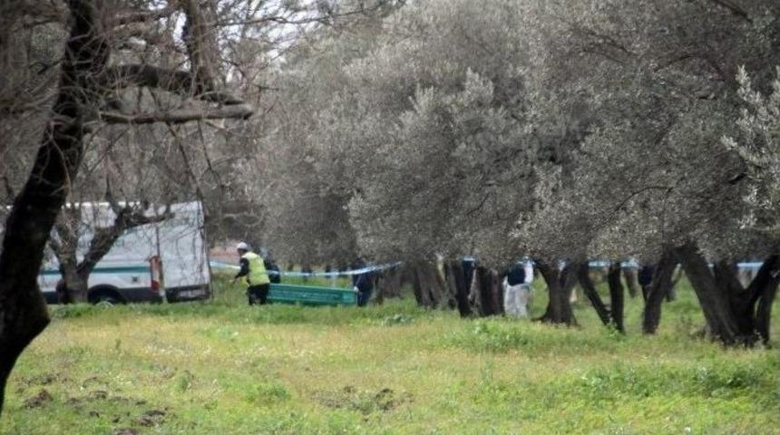 21 Yaşındaki Gen&ccedil; Zeytin Bah&ccedil;esinde &Ouml;l&uuml; Bulundu