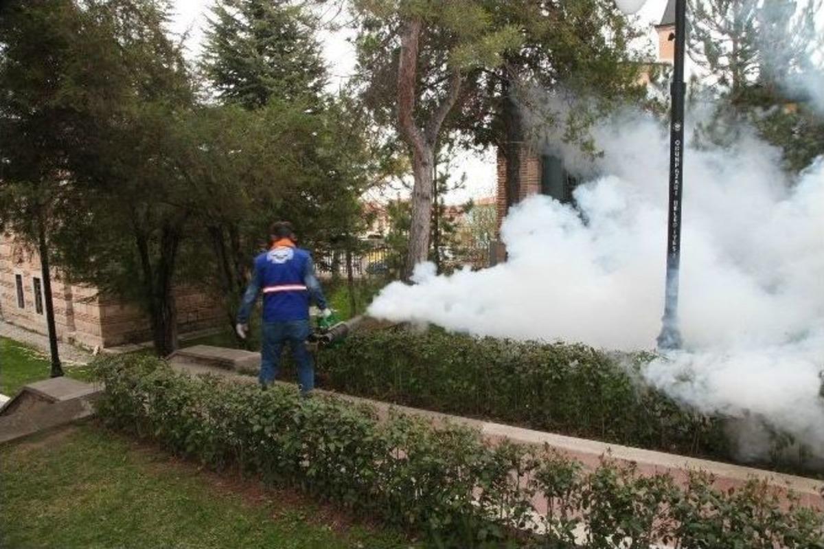 Mahallelere Tam Teşekk&uuml;ll&uuml; Bakım