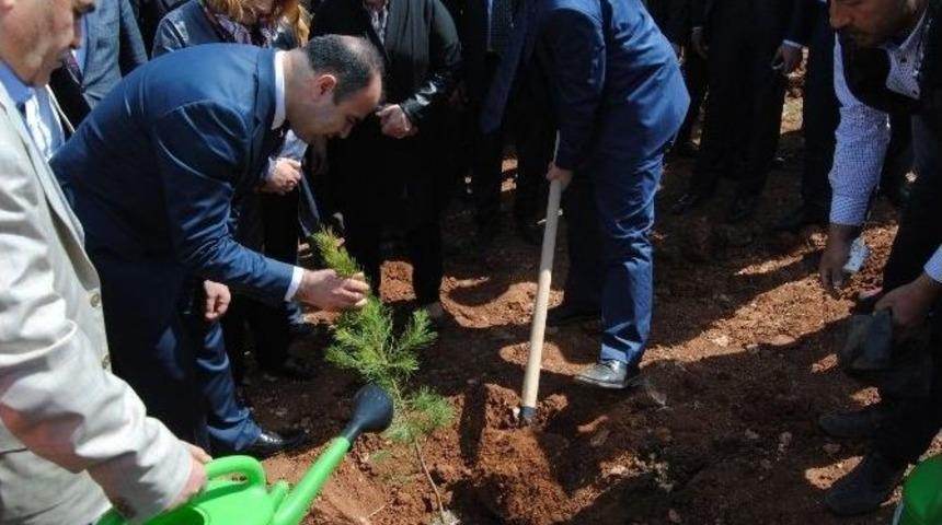Şanlıurfa&rsquo;da Ağa&ccedil;landırma Seferberliği Başlatıldı