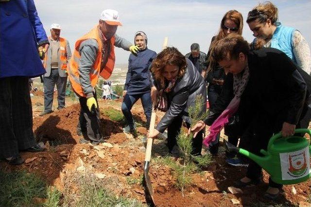 Şanlıurfa’da Ağaçlandırma Seferberliği Başlatıldı