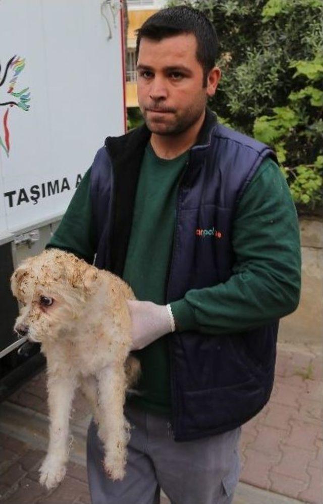Mersin’deki Patlama 3