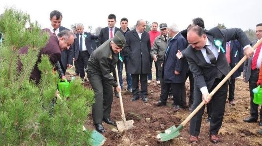Kastamonu&rsquo;da Ormancılık Haftası Kutlandı