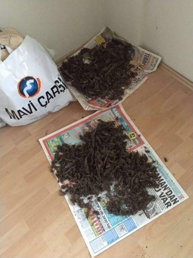 Uyuşturucu Tacirlerine Polis Darbesi 2