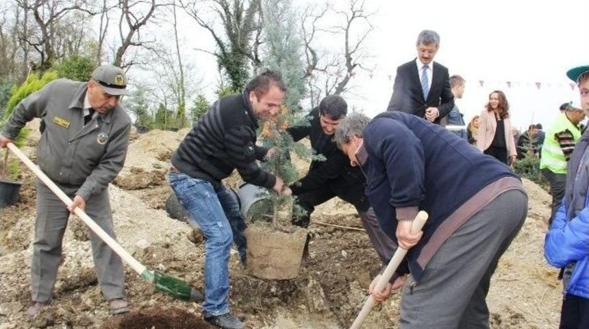 Gazeteciler Fidan Dikti, Protokol &Ccedil;ekim Yaptı