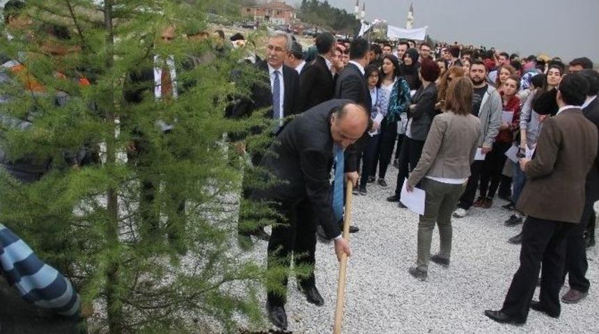 B&uuml;&rsquo;den Fidan Dikim Etkinliği