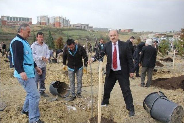 Bü’den Fidan Dikim Etkinliği