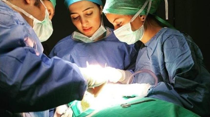 &ldquo;ucuz Diş İmplantlarına Dikkat Edin&rdquo;