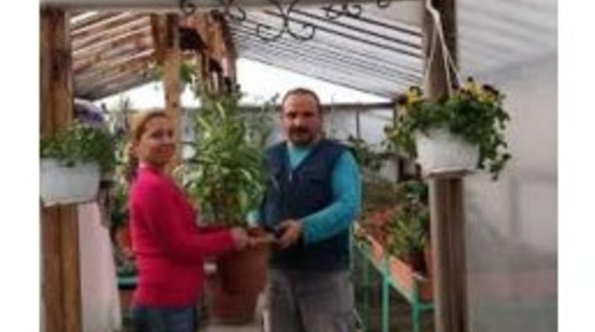 Eyvah Bitkim Hastalandı