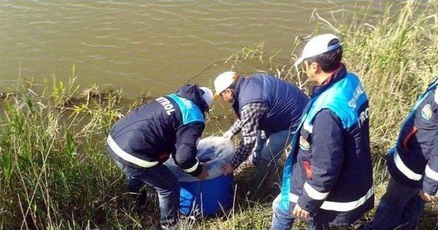 Aydın’da Su Ürünleri Denetimi Yapıldı