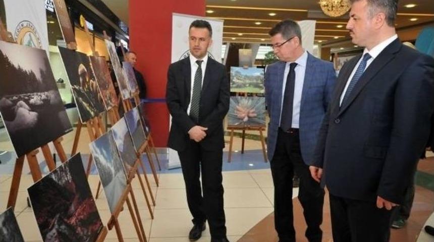 K&uuml;tahya&rsquo;da &rsquo;ormanın Nefesi&rsquo; Konulu Fotoğraf Sergisi